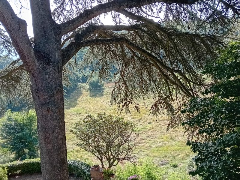 03611e30-923b-45f1-82c3-a46b4e2655ce