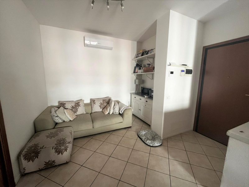 WhatsApp Image 2023-01-24 at 10.45.35