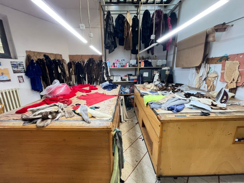 WhatsApp Image 2025-09-29 at 11.02.33 (1)