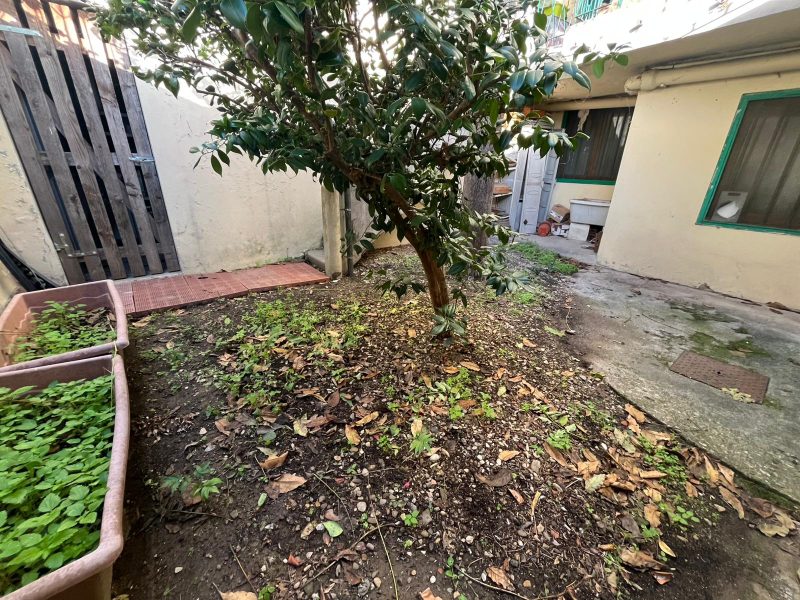 WhatsApp Image 2025-10-28 at 16.15.31 (5)