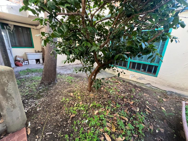 WhatsApp Image 2025-10-28 at 16.15.31 (6)