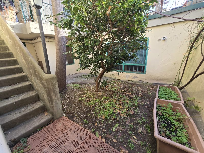 WhatsApp Image 2025-10-28 at 16.19.29 (1)