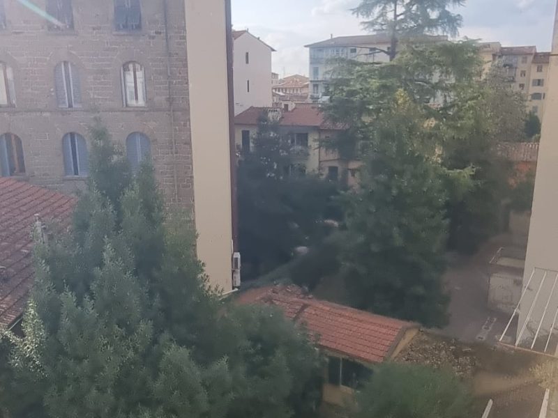 WhatsApp Image 2025-11-04 at 11.27.46