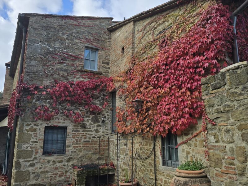 WhatsApp Image 2025-11-13 at 14.47.24