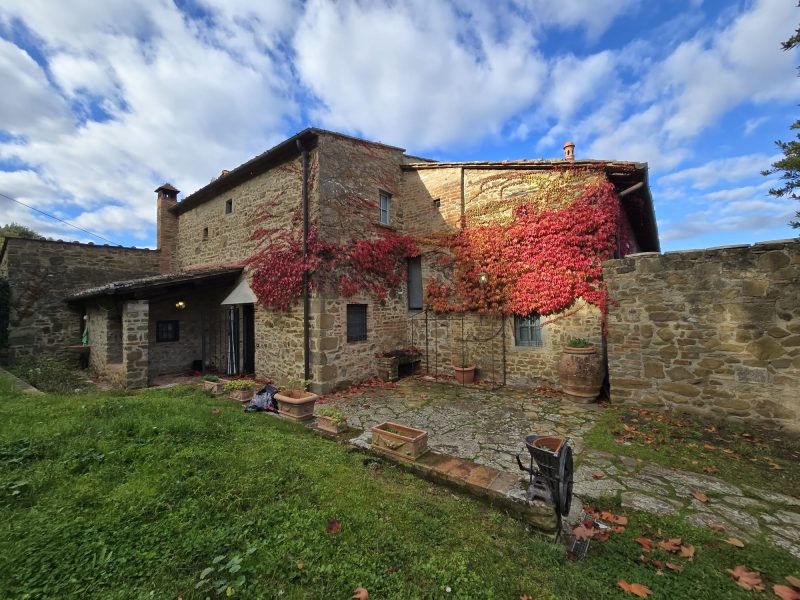 WhatsApp Image 2025-11-13 at 14.47.26 (1)