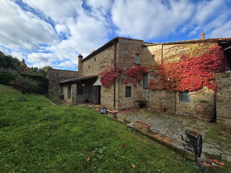 WhatsApp Image 2025-11-13 at 14.47.26