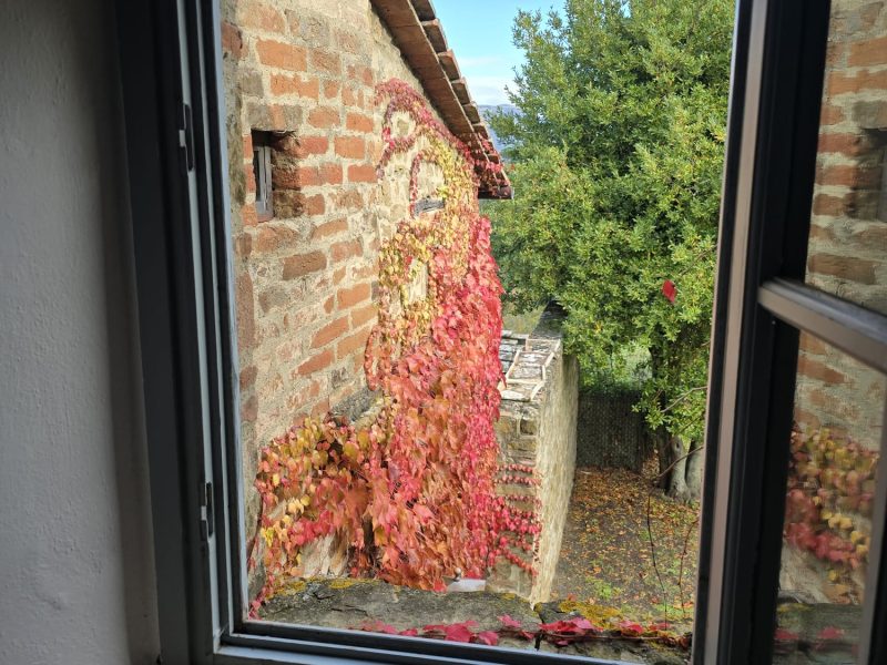 WhatsApp Image 2025-11-13 at 14.47.31 (3)