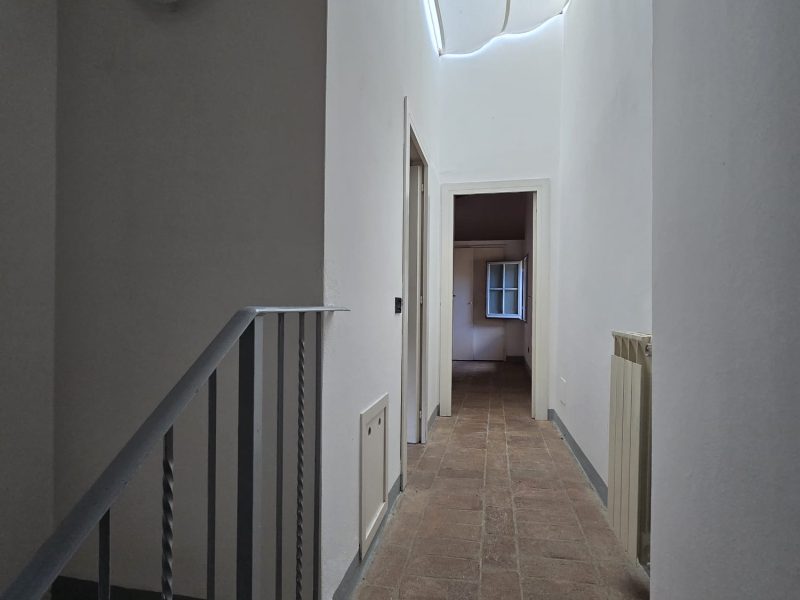 WhatsApp Image 2025-11-13 at 14.47.34 (2)