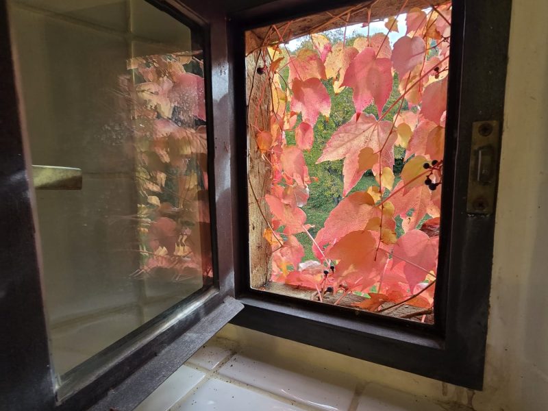 WhatsApp Image 2025-11-13 at 14.47.34 (3)