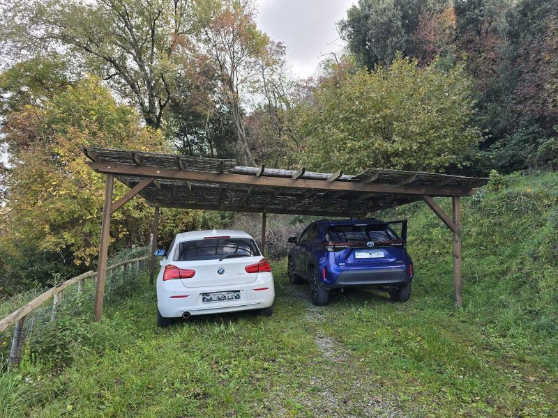 WhatsApp Image 2025-11-13 at 15.12.55 (1)