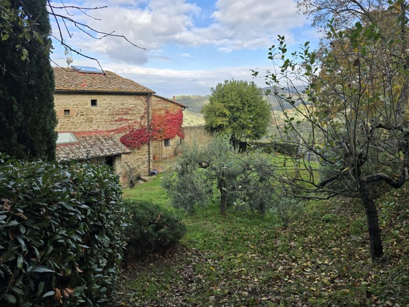 WhatsApp Image 2025-11-13 at 15.12.55