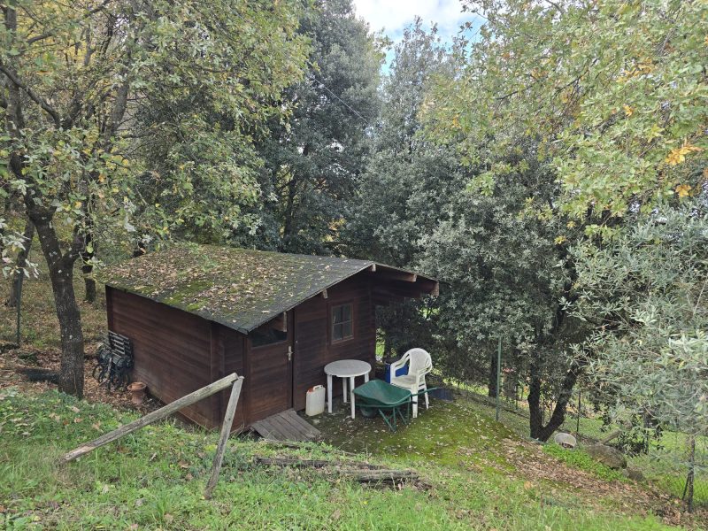 WhatsApp Image 2025-11-13 at 15.12.56 (2)