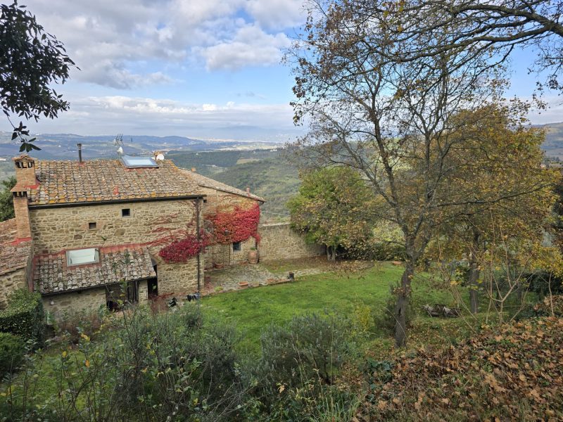 WhatsApp Image 2025-11-13 at 15.12.56 (3)