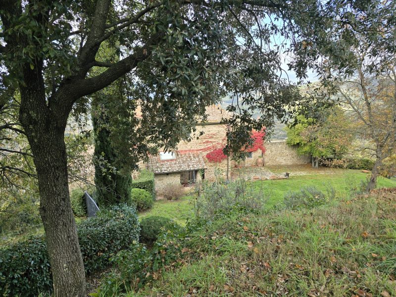 WhatsApp Image 2025-11-13 at 15.12.56