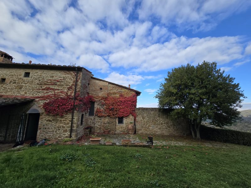 WhatsApp Image 2025-11-13 at 15.12.57 (1)