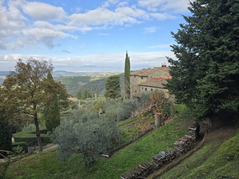 WhatsApp Image 2025-11-13 at 15.12.57 (3)