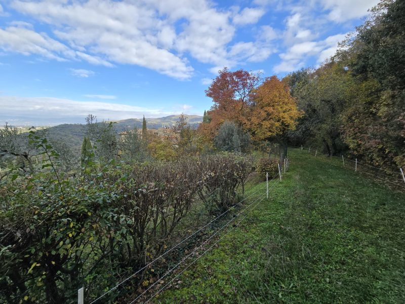 WhatsApp Image 2025-11-13 at 15.12.57