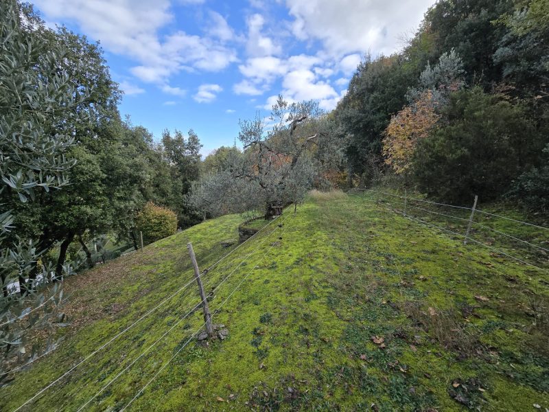 WhatsApp Image 2025-11-13 at 15.12.58