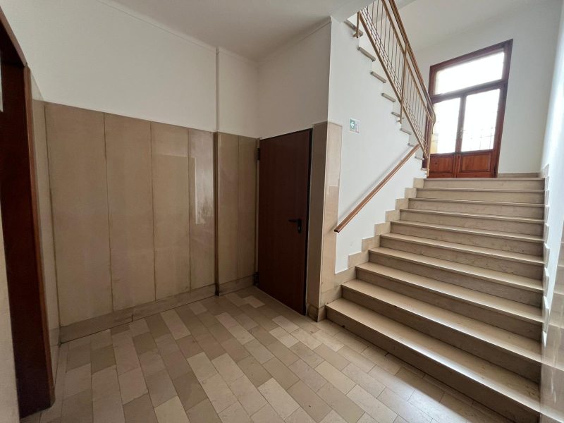 WhatsApp Image 2025-11-20 at 11.08.09