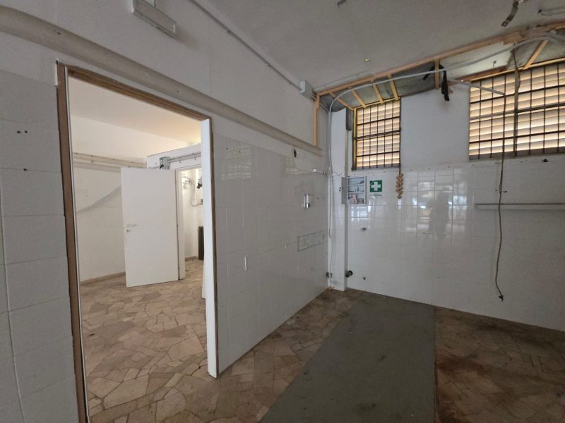 WhatsApp Image 2025-12-11 at 12.47.46 (4)