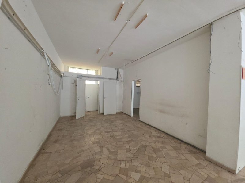 WhatsApp Image 2025-12-11 at 12.47.47