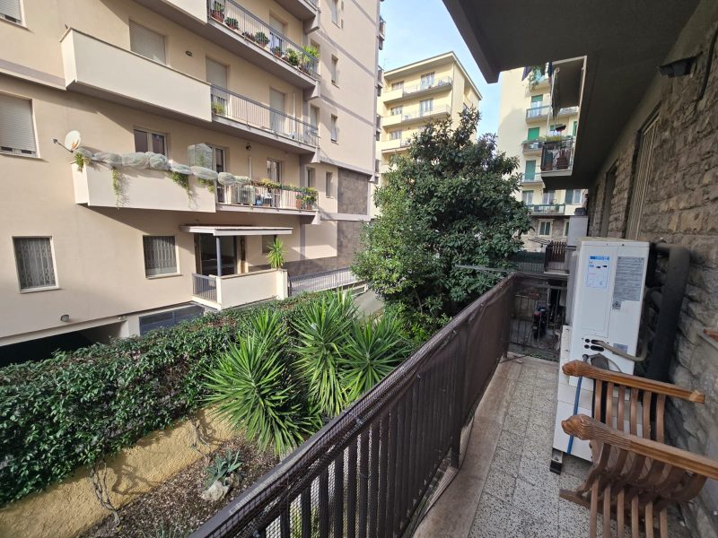 WhatsApp Image 2026-01-19 at 12.36.36 (2)