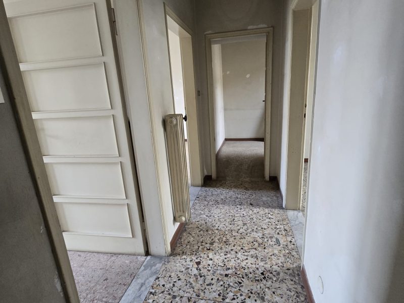 WhatsApp Image 2026-02-19 at 16.17.47 (1)