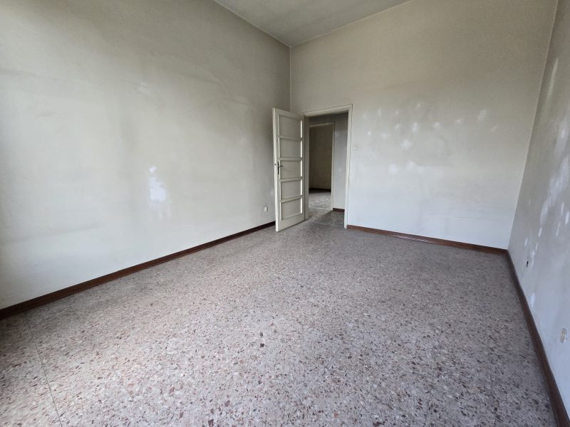 WhatsApp Image 2026-02-19 at 16.17.47