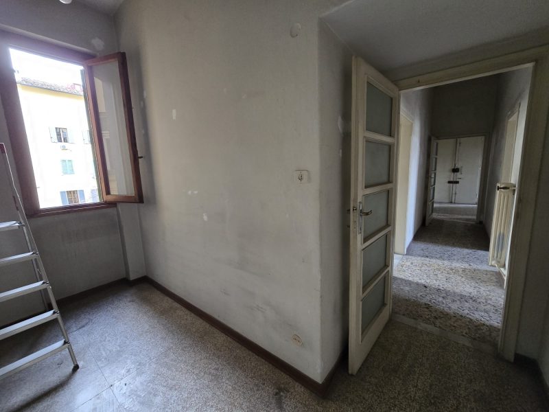 WhatsApp Image 2026-02-19 at 16.17.48 (1)