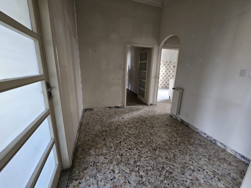 WhatsApp Image 2026-02-19 at 16.17.52 (1)