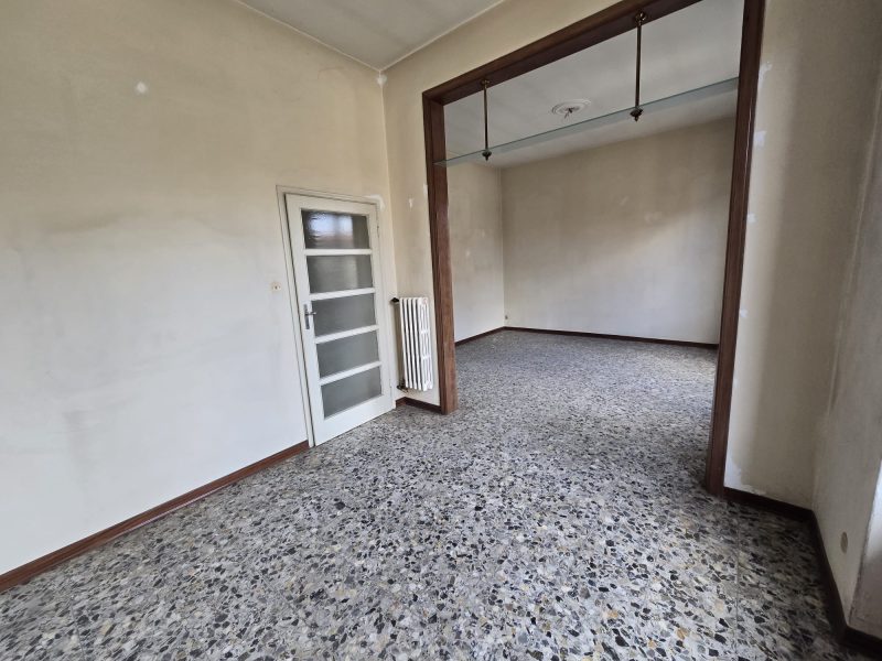 WhatsApp Image 2026-02-19 at 16.17.53 (3)