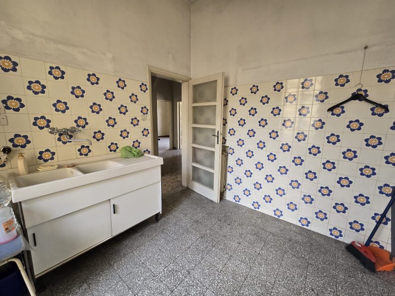 WhatsApp Image 2026-02-19 at 16.17.55 (2)