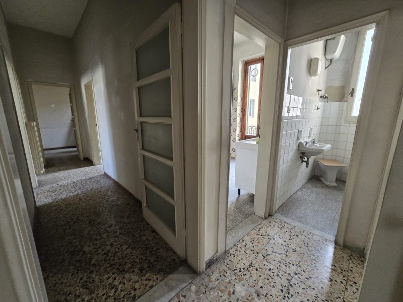 WhatsApp Image 2026-02-19 at 16.17.55 (4)