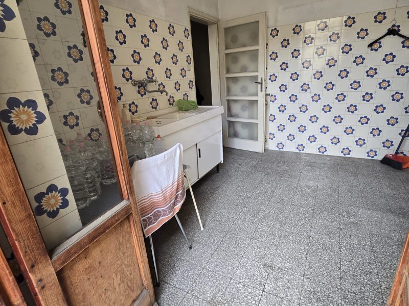 WhatsApp Image 2026-02-19 at 16.17.55