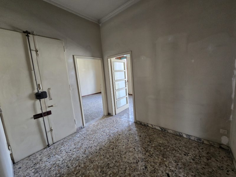 WhatsApp Image 2026-02-19 at 16.17.56 (1)