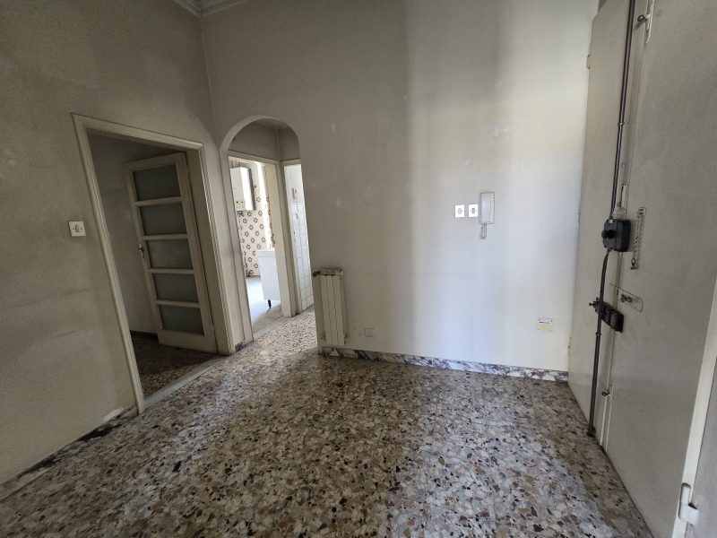 WhatsApp Image 2026-02-19 at 16.17.56