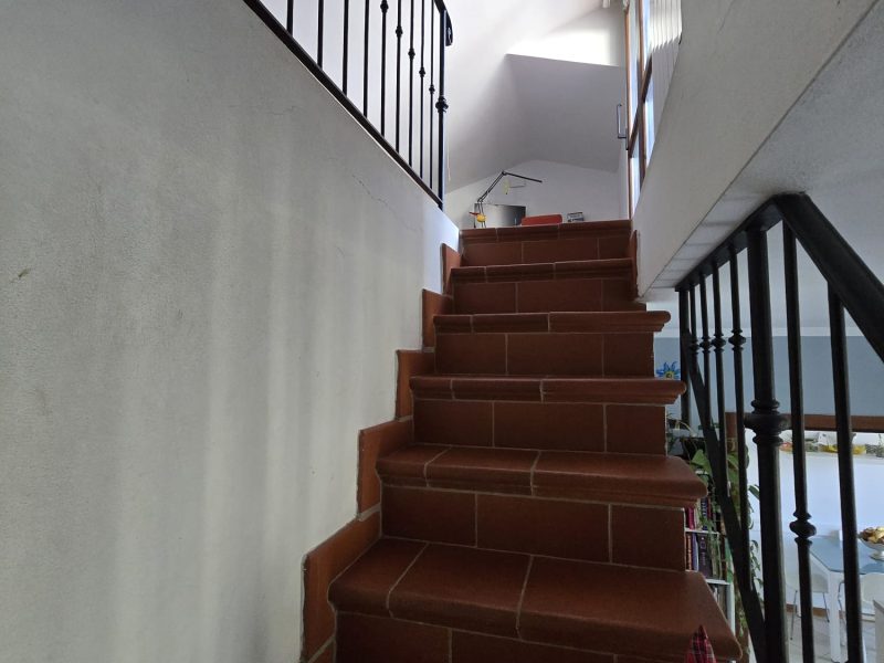 WhatsApp Image 2026-03-19 at 12.29.16 (1)