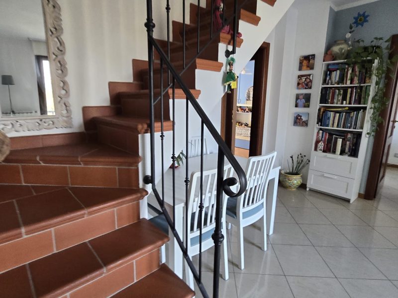 WhatsApp Image 2026-03-19 at 12.29.16 (2)