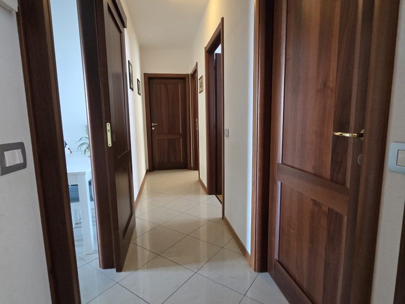 WhatsApp Image 2026-03-19 at 12.29.18 (1)