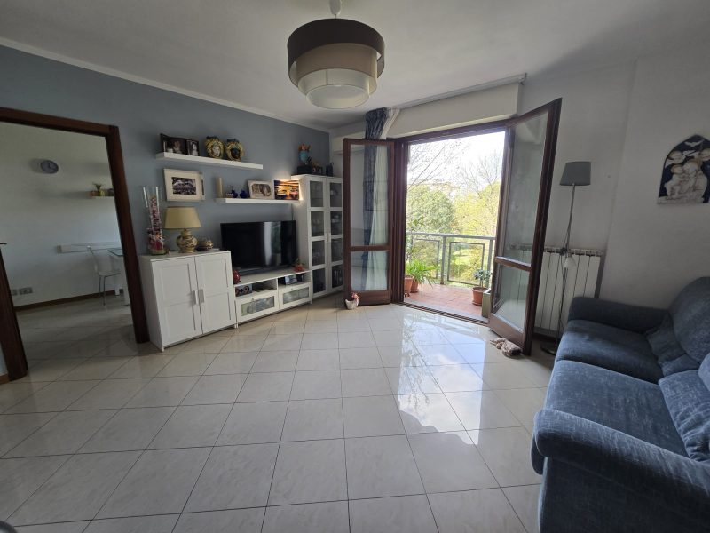 WhatsApp Image 2026-03-19 at 12.29.19 (1)