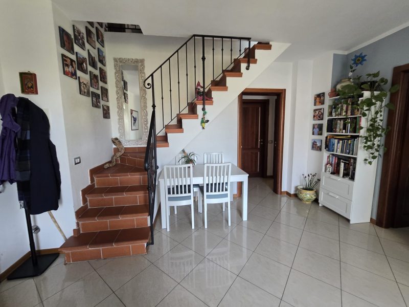 WhatsApp Image 2026-03-19 at 12.29.19 (2)