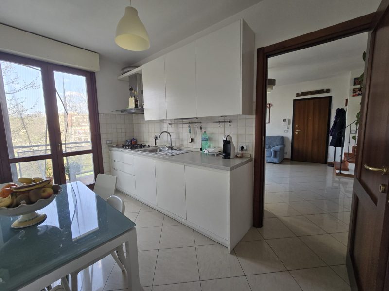 WhatsApp Image 2026-03-19 at 12.29.21