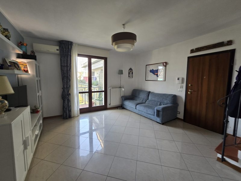 WhatsApp Image 2026-03-19 at 12.29.22 (1)