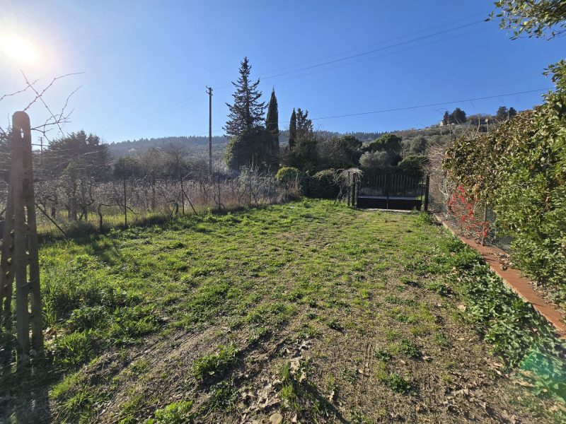 WhatsApp Image 2026-03-24 at 18.20.34 (1)