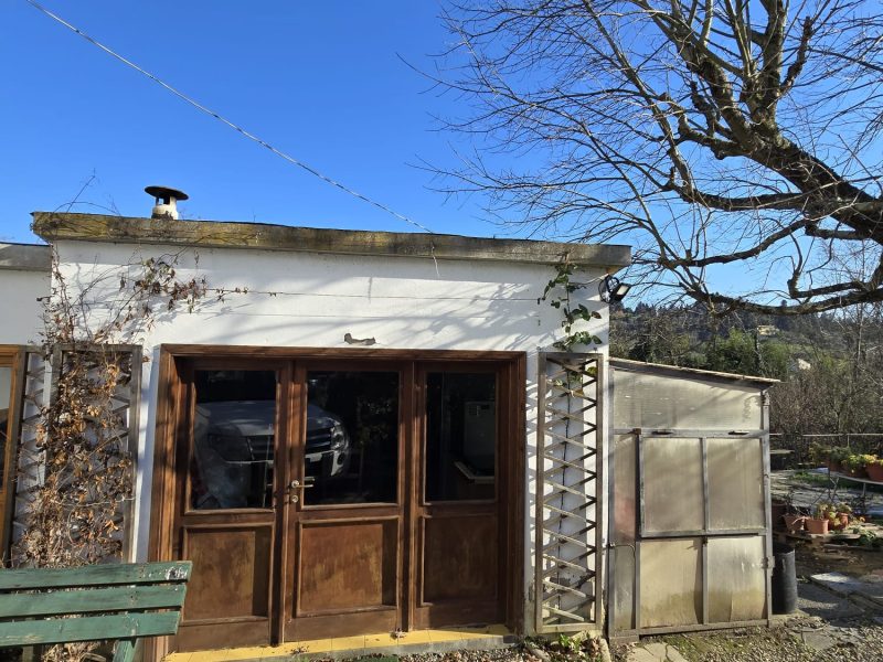 WhatsApp Image 2026-03-24 at 18.20.35