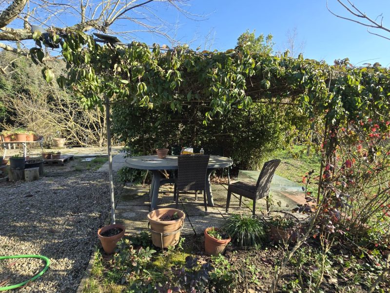 WhatsApp Image 2026-03-24 at 18.20.36 (1)