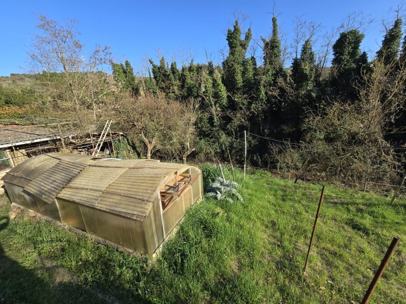 WhatsApp Image 2026-03-24 at 18.20.42 (2)