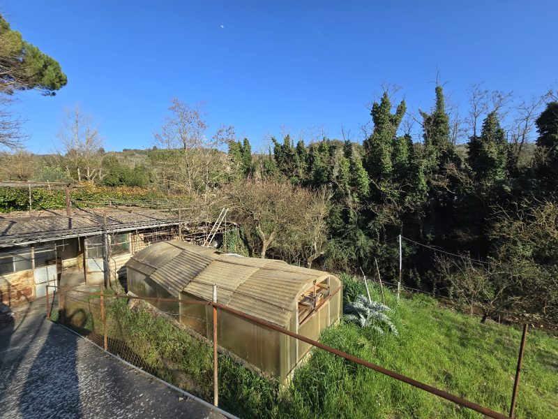 WhatsApp Image 2026-03-24 at 18.20.42 (3)