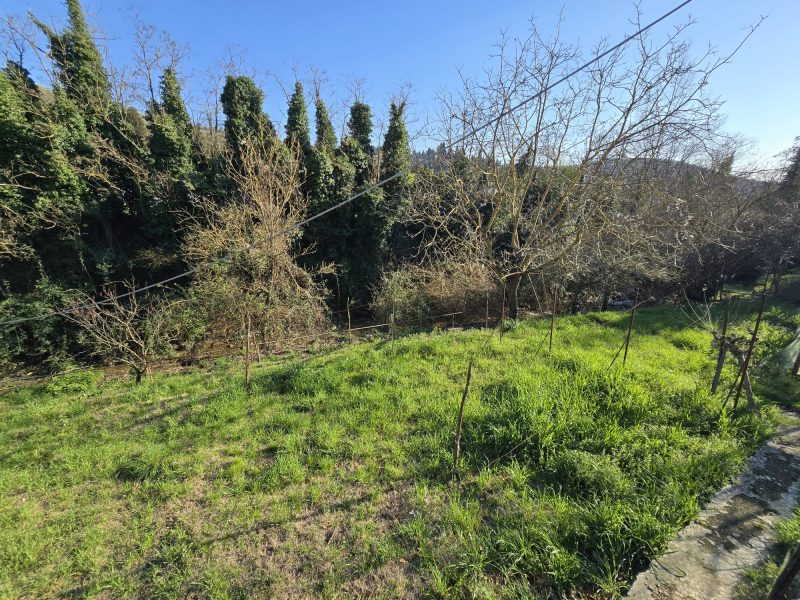 WhatsApp Image 2026-03-24 at 18.20.42