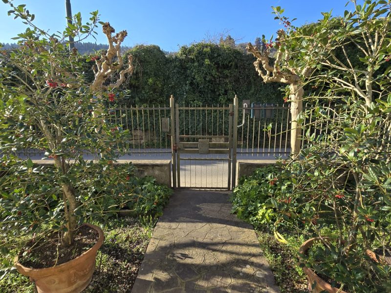 WhatsApp Image 2026-03-24 at 18.20.43 (2)